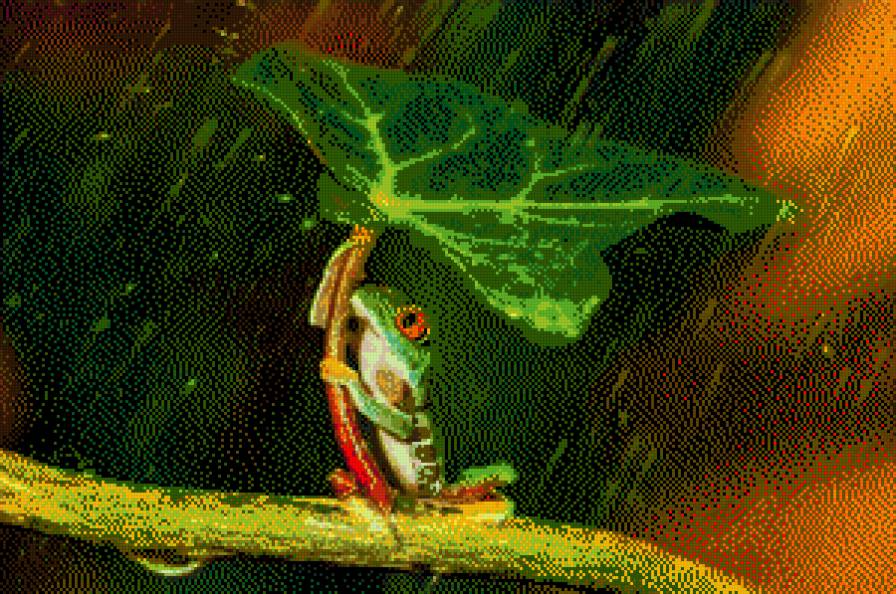 Лягушка - предпросмотр