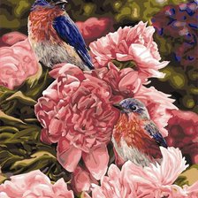 Схема вышивки «Серия птицы»