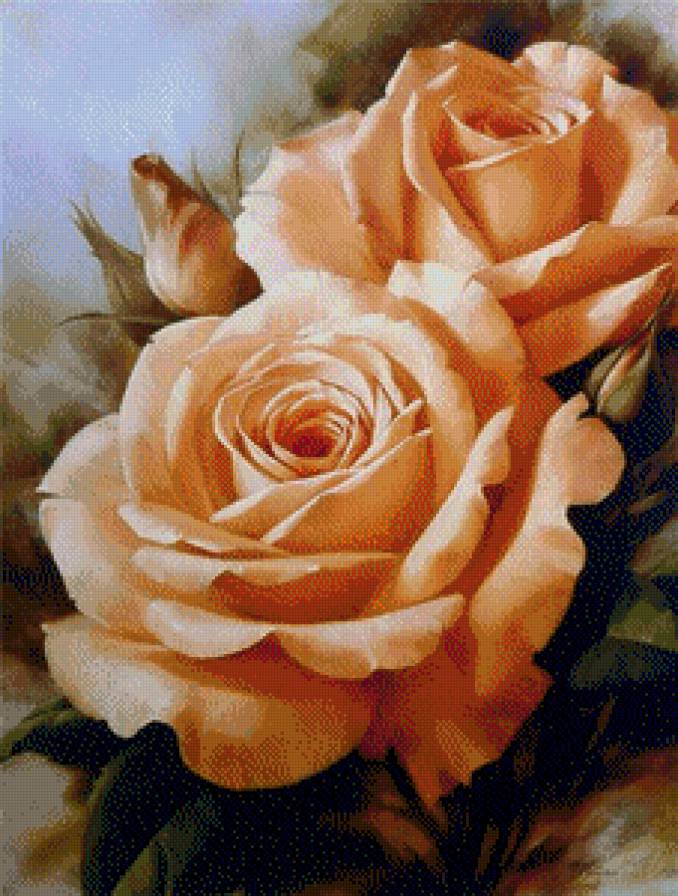 Розы - цветы, растения, розы - предпросмотр