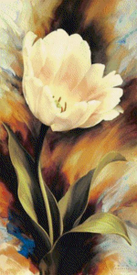 Тюльпан - растения, цветы, тюльпан - предпросмотр