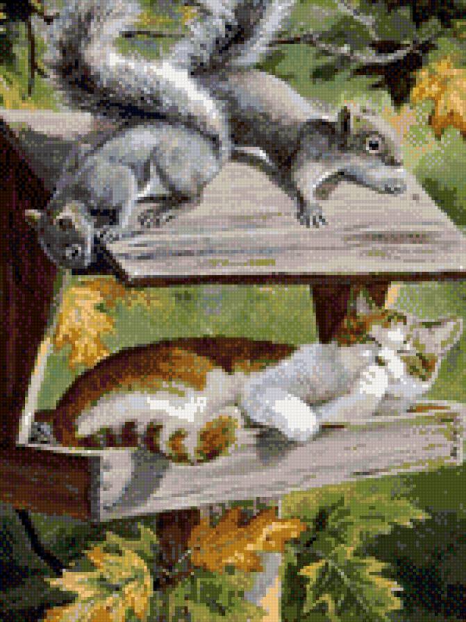 кошка и белки - кошка, животные, кот - предпросмотр