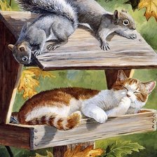 Схема вышивки «кошка и белки»