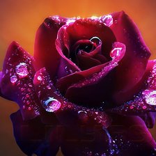 Схема вышивки «роза»