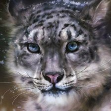 Схема вышивки «котик»