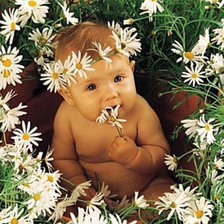 Схема вышивки «В ромашках»