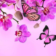 Схема вышивки «Орхидея»