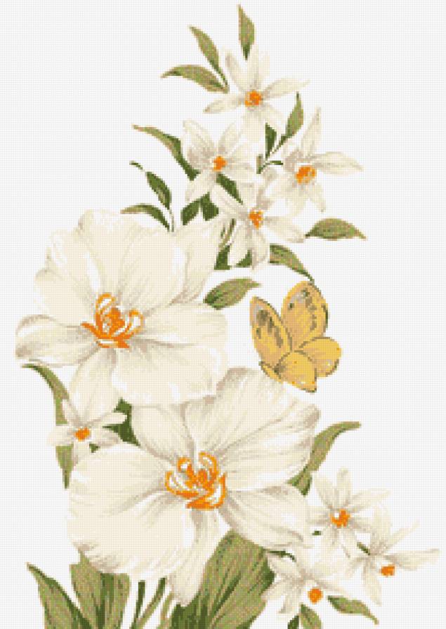 Орхидея - бабочки, орхидея, цветы - предпросмотр