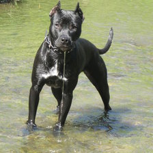 Схема вышивки «емма»