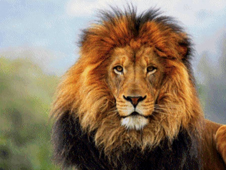 лев - лев, животные - предпросмотр