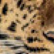 Предпросмотр схемы вышивки «леопард» (№723885)