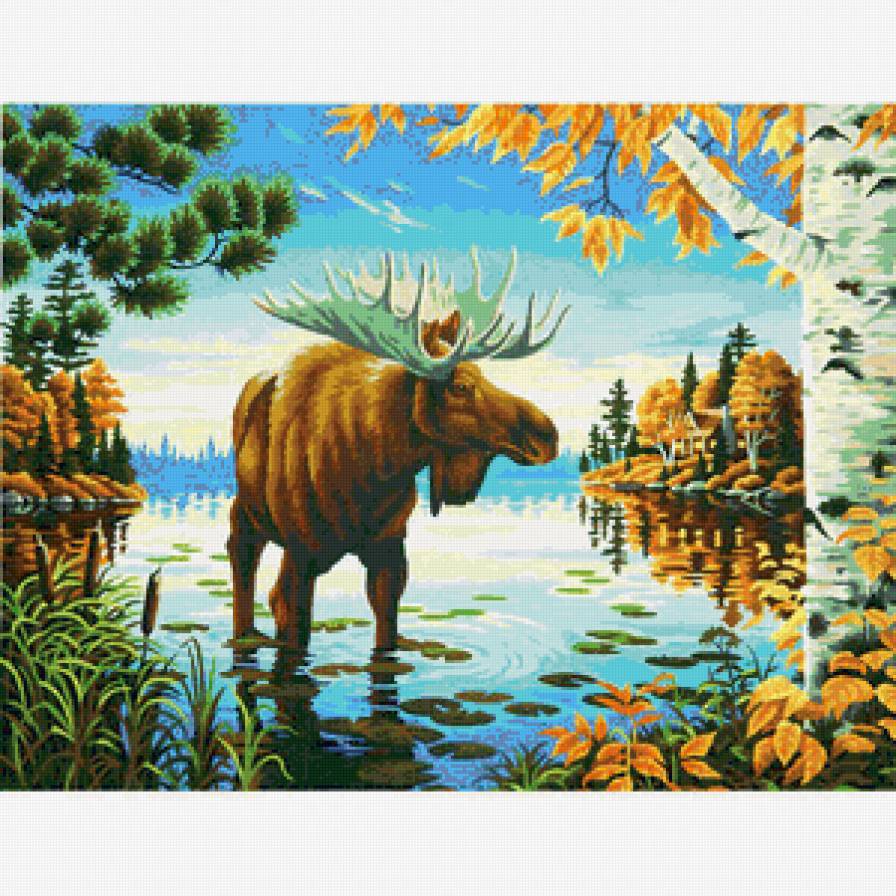 Лось - животные - предпросмотр