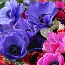 Схема вышивки «№724103»