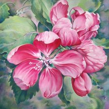 Схема вышивки «красные цветы»