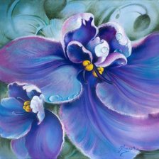 Лиловые цветы