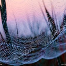 Схема вышивки «Паутинка»