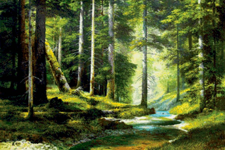 сосновый бор - родные просторы - предпросмотр