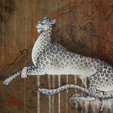 ГОБИ, леопард