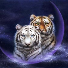 Схема вышивки «11»