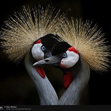 Схема вышивки «Это любовь»