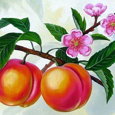 Схема вышивки «персик»