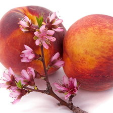 Схема вышивки «персик»