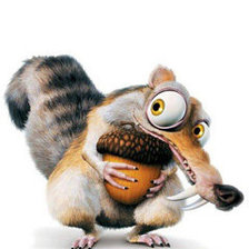 Схема вышивки «белка»