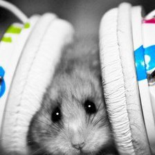 Схема вышивки «мышь»