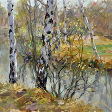 Берёзы у пруда