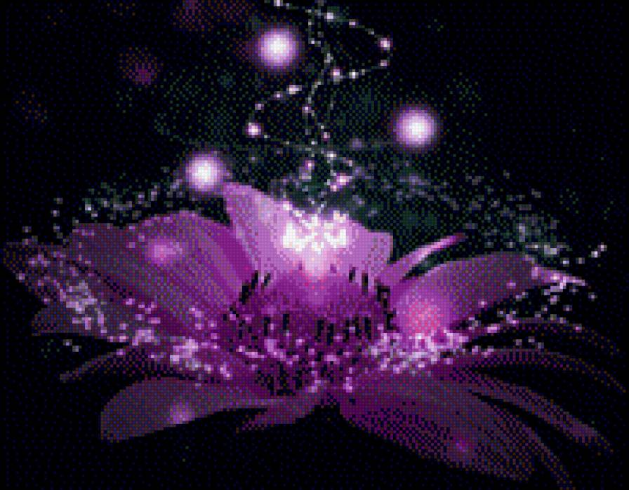 цветок - цветы, цветок - предпросмотр