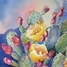 Схема вышивки «Cactus»