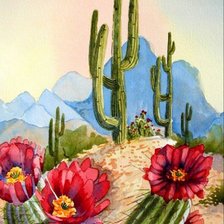 Схема вышивки «Cactus»