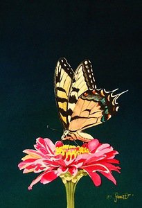 Бабочка на цветке - оригинал