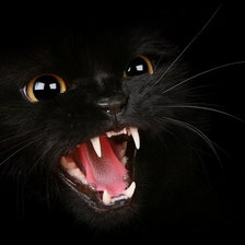 Схема вышивки «кот»