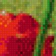Предпросмотр схемы вышивки «Красные тюльпаны» (№724857)