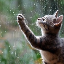 Схема вышивки «Дождь»