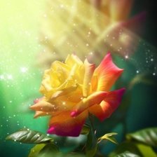 Схема вышивки «роза»