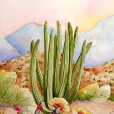 Схема вышивки «Cactus»