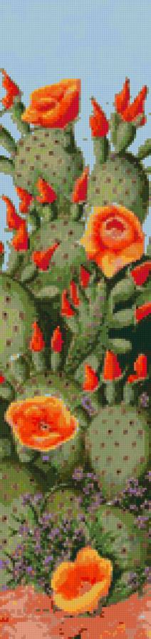 Cactus - предпросмотр