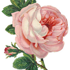 Схема вышивки «3»