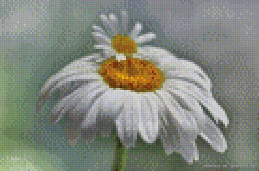 Ромашка - вышивкацветы, вышивка крестиком, ромашка, вышивка - предпросмотр