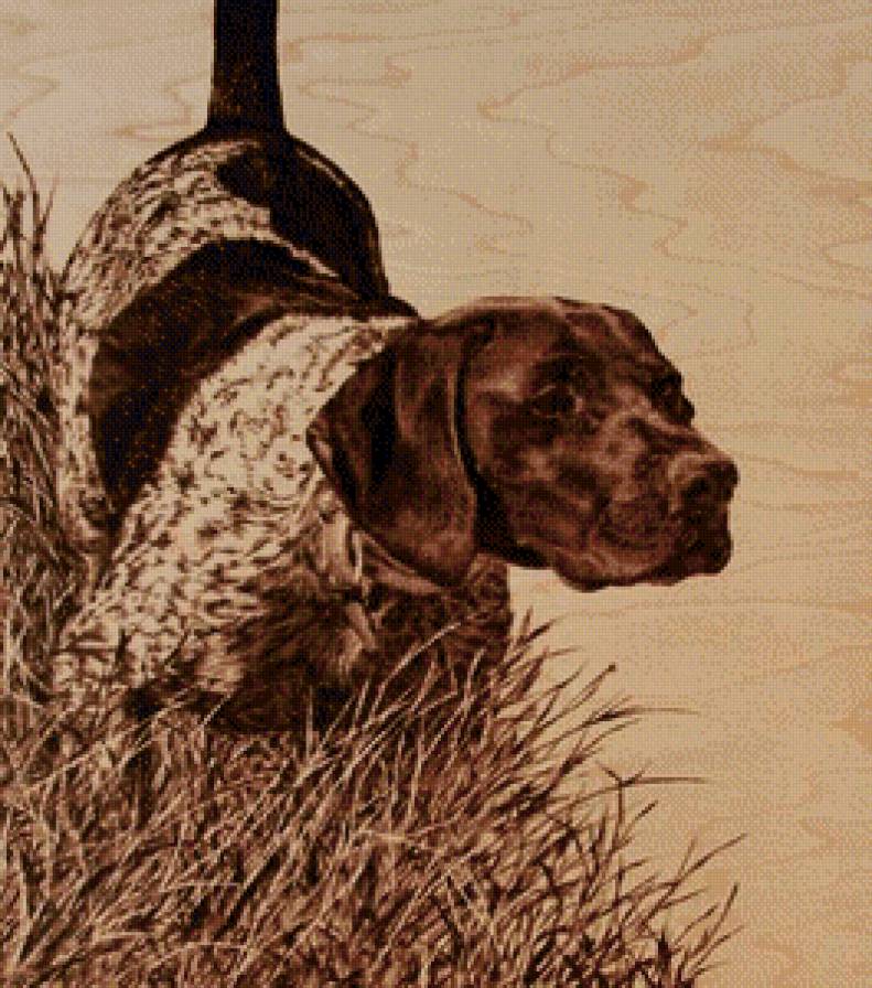 собака - охота - предпросмотр