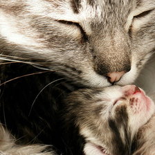 Схема вышивки «мама»