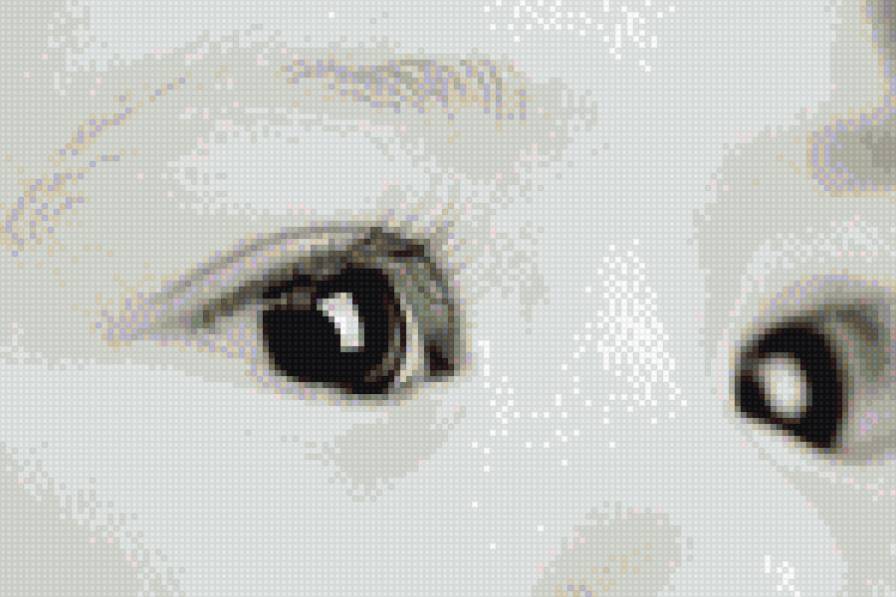 Взгляд - монохром, взгляд, ребенок, глаза - предпросмотр