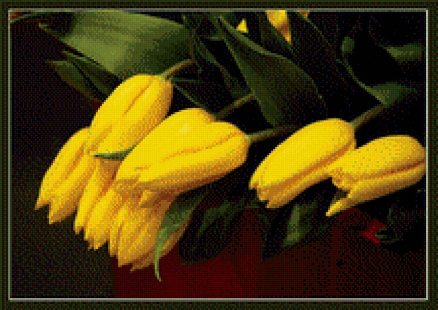 Желтые тюльпаны - предпросмотр