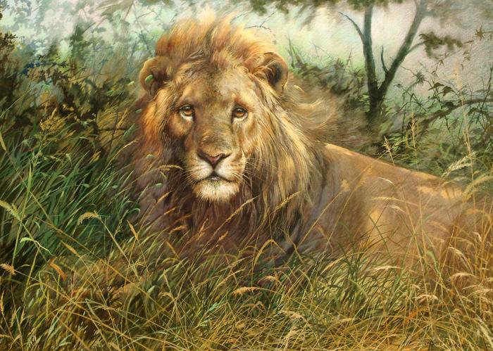 Лев - животные, саванна, лев, картины - оригинал