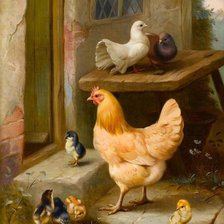 Курица с цыплятами