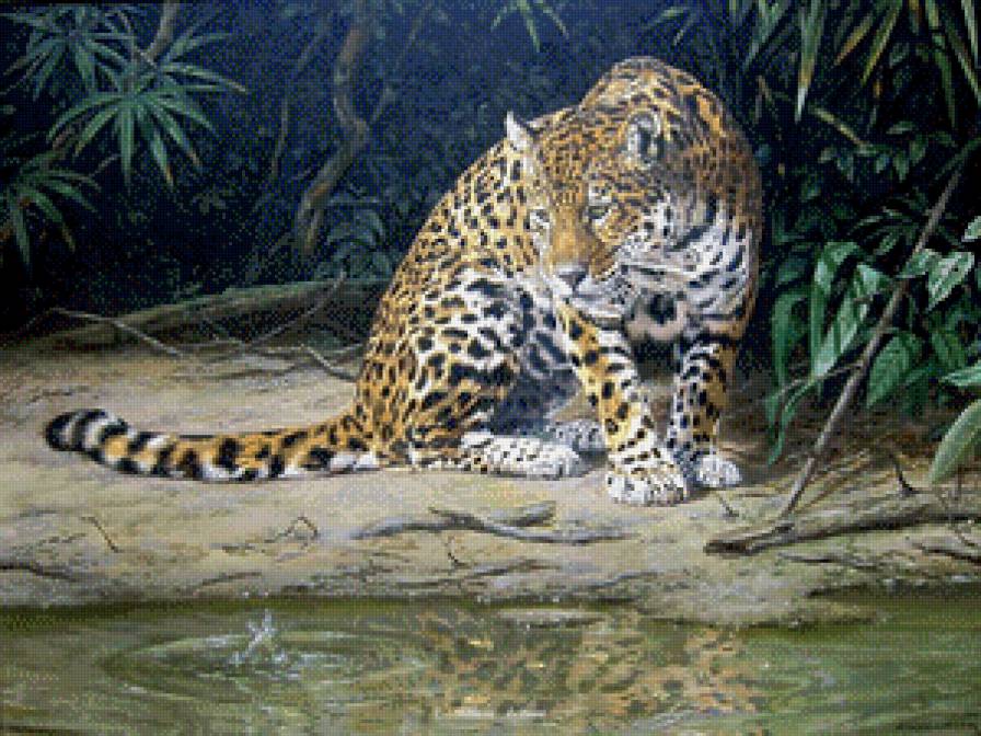 Леопард - леопард, картины, животные, джунгли - предпросмотр