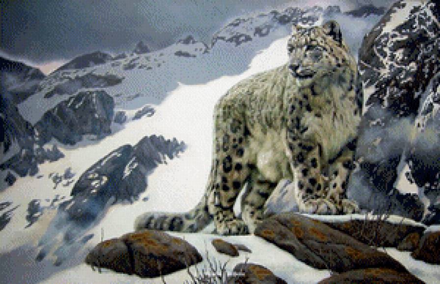 снежный барс - снежный барс, горы, картины, животные - предпросмотр