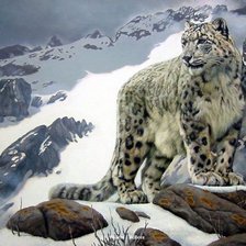 Схема вышивки «снежный барс»