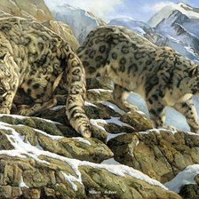 Схема вышивки «Снежные барсы»